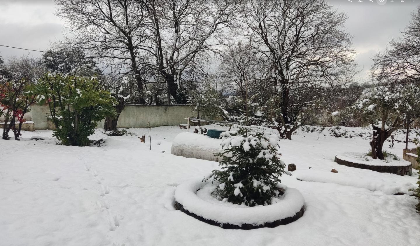 Click image for larger version

Name:	snowreport.jpg
Views:	427
Size:	245.9 KB
ID:	6359