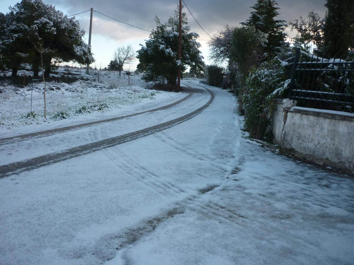 Click image for larger version

Name:	P1120536.JPG
Views:	6
Size:	167.4 KB
ID:	7821