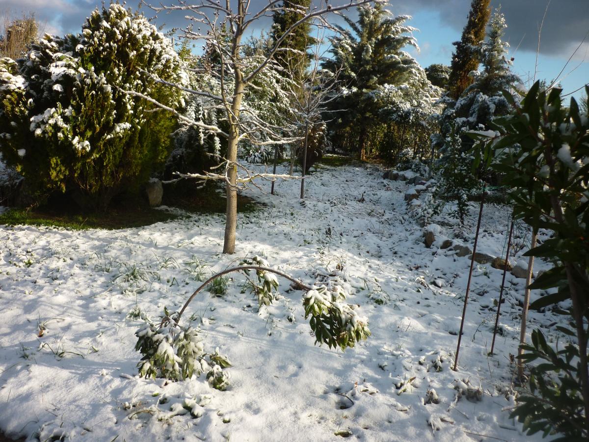 Click image for larger version

Name:	P1120540.JPG
Views:	6
Size:	257.7 KB
ID:	7822