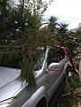 Click image for larger version

Name:	IMG_20201013_084946.jpg
Views:	454
Size:	104.4 KB
ID:	197