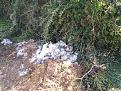 Click image for larger version

Name:	IMG_20210304_133533.jpg
Views:	656
Size:	381.8 KB
ID:	4124